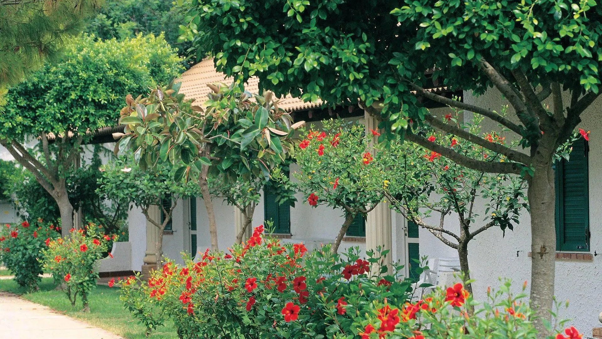 Hotel Club Marispica Italia