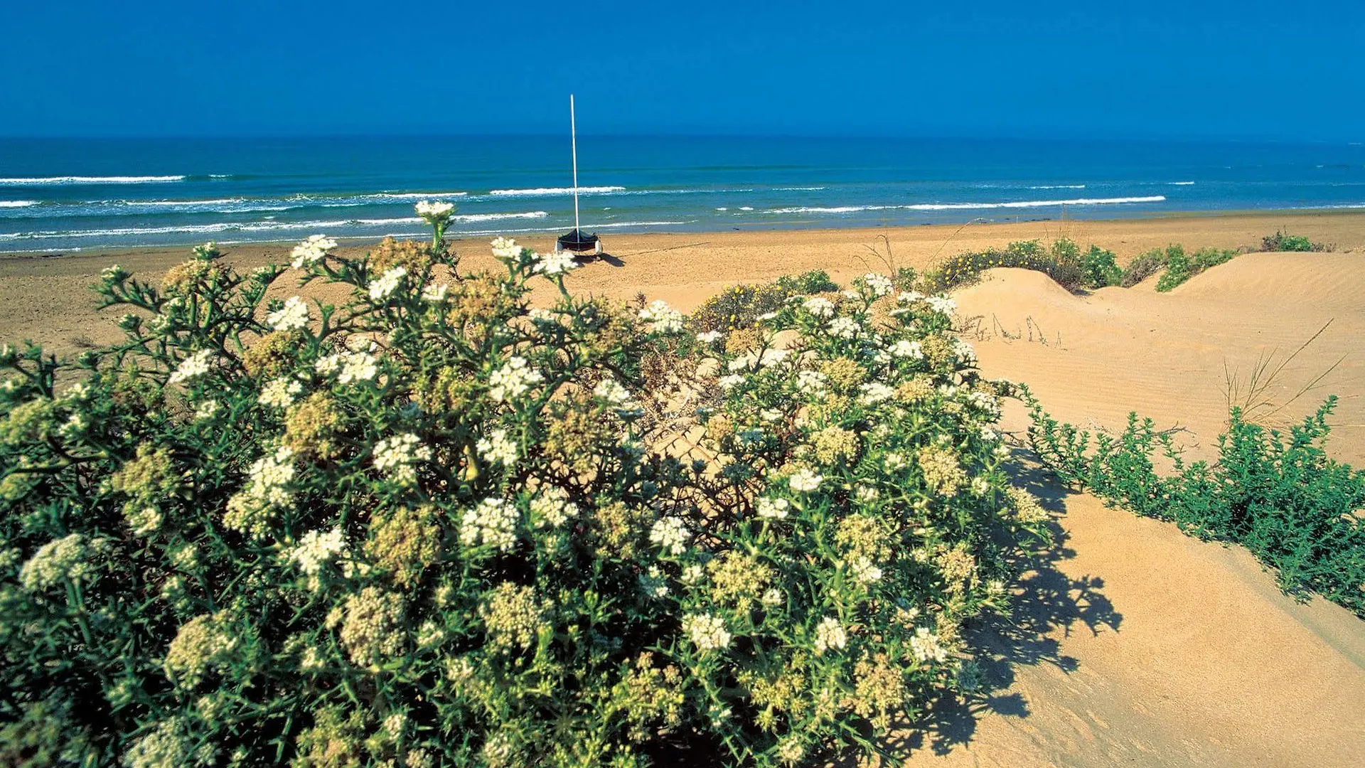 **** Resort Hotel Club Marispica Italia